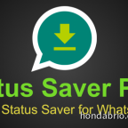Status Saver